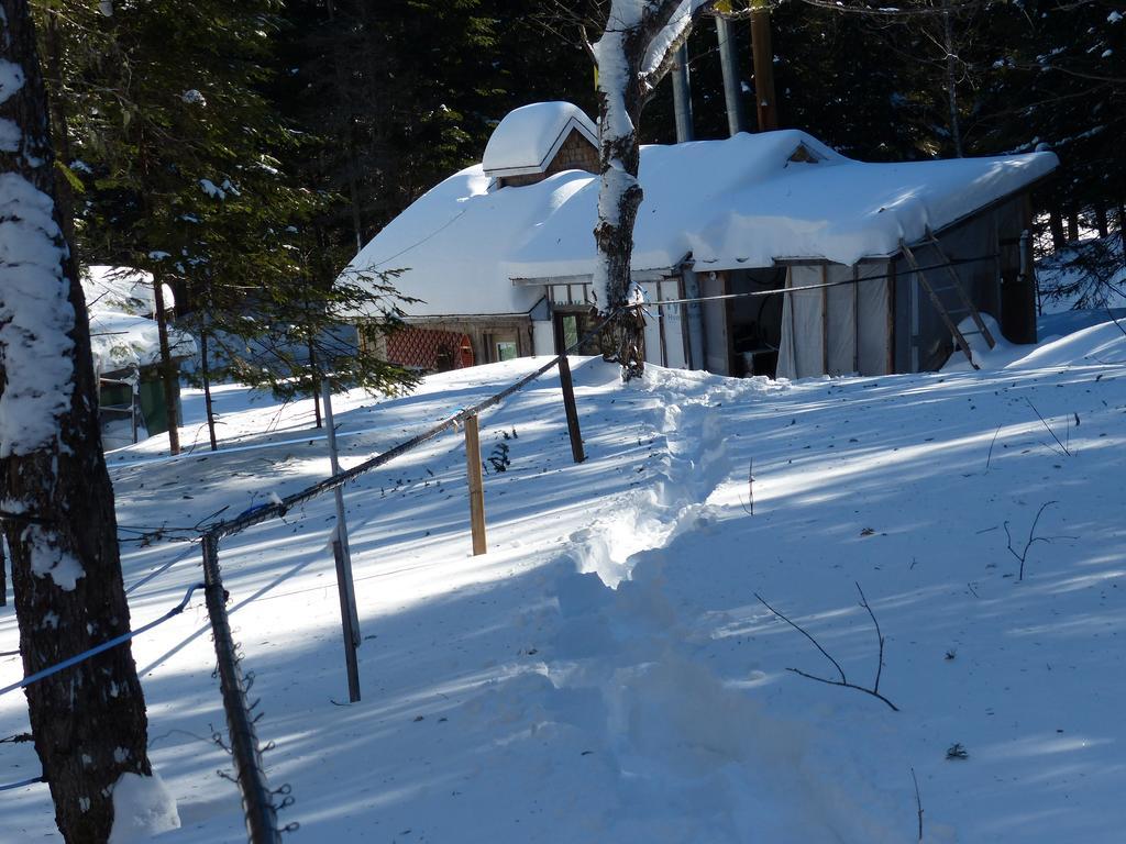 Bed And Breakfast Du Repos Saint Quentin